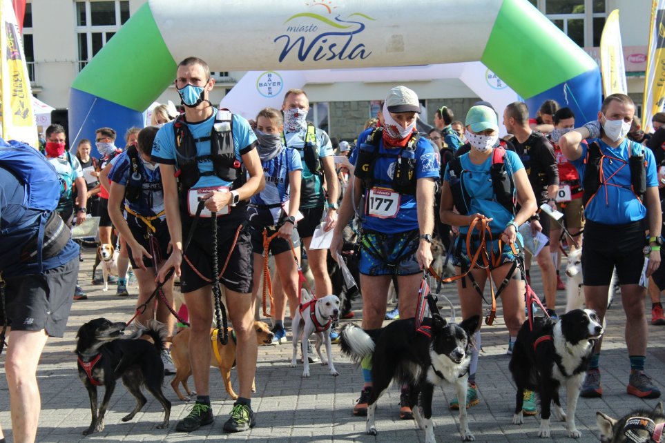 Fragment biegu Pucharu Polski w Dogtrekkingu w Wiśle